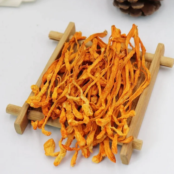 The Benefits of Cordyceps for Males - Club Sapience